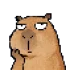 دواپس